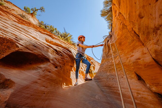 East Zion: Coral Sands Half-day Canyoneering Tour - Navigating the Coral Sands Canyons