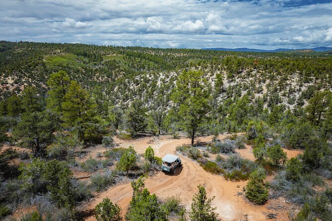 East Zion East Rim Jeep Tour - Customer Feedback