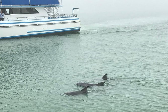 Eco and Dolphin Watch Tour of South Padre Island - Booking Flexibility and Environmental Considerations