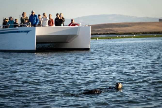 Elkhorn Slough Wildlife Tour - Accessibility and Inclusivity