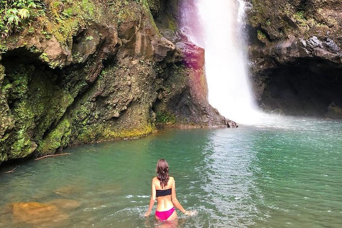 Epic Waterfall Adventure, the Best of Maui - Immersive Hiking Through Diverse Terrains