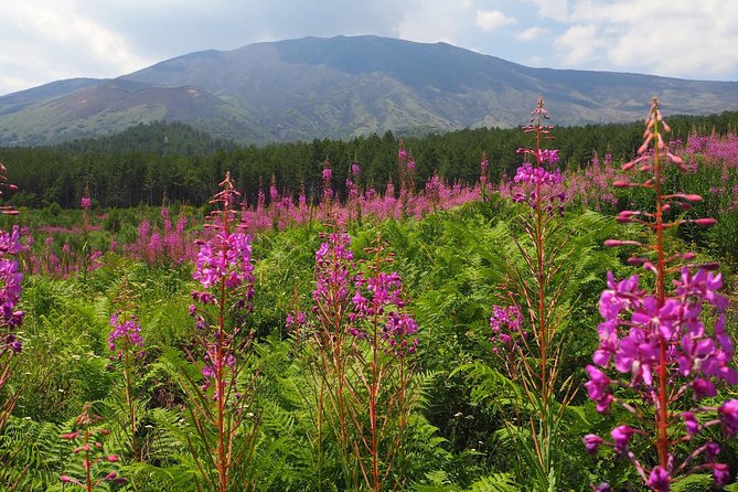 Etna Tour in 4x4 - Knowledgeable Guides and Local Tastings