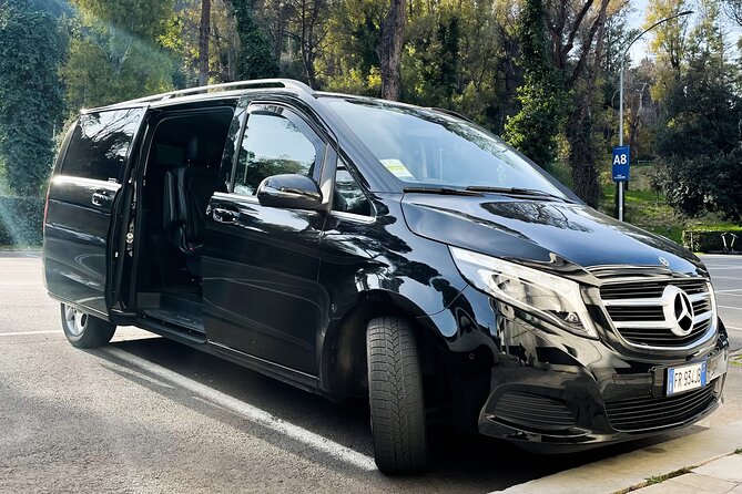 Fiumicino Airport (FCO) to Rome - Private Arrival Transfer - Areas for Improvement