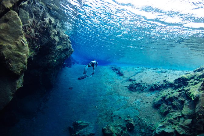 Freedive Silfra Half Day Tour - Pricing and Cancellation Policy