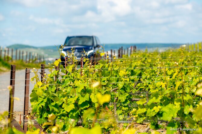 From Reims: Full Day Champagne Mumm, Family Growers & Lunch - Practical Information for Travelers