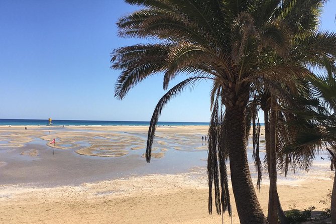 Fuerteventura South Exclusive Tour - Practical Information