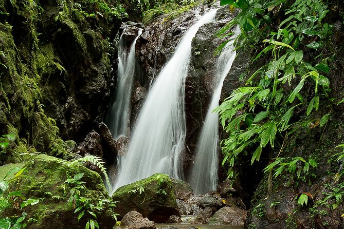 Full Combo: ATV Waterfalls + Canopy Zip Line + Butterfly Garden - Soaring Through the Canopy Zip Line