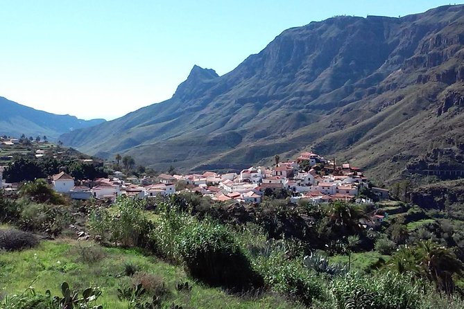 Full Day Across the Island Tour From Las Palmas - Discovering Pico De Las Nieves
