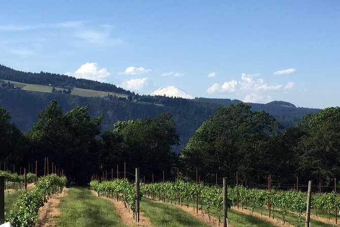Full-Day Mt Hood Waterfall Tour With Lunch and Wine Included - Discovering Timberline Lodge