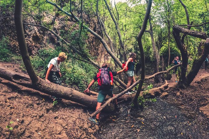 Full Day Rainforest Tour With Tasting and Swimming Time ツ - Hiking Through the Azuaje Ravine