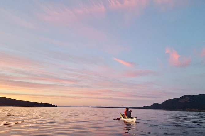 Full Day San Juan Island Kayaking Adventure - Safety and Preparation