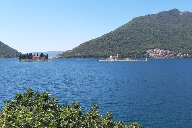 Full-Day Tour Bay of Kotor Perast Kotor and Budva Small Group From Dubrovnik - Reviews and Feedback