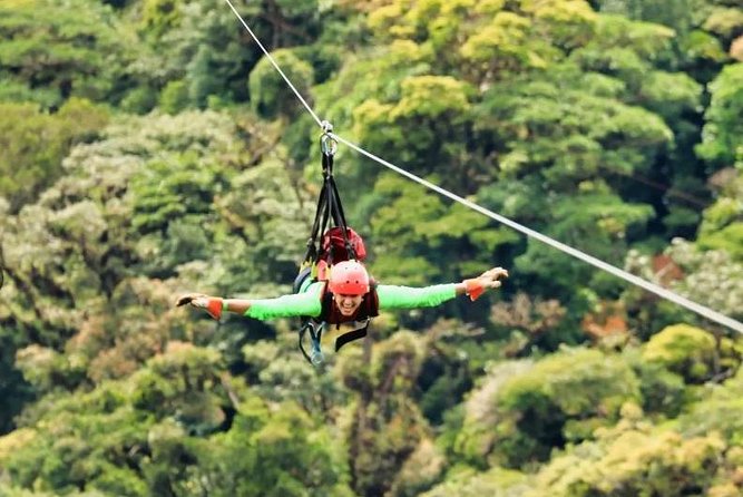 Full Monteverde Cloud Forest Experience With Ziplining. - Exploring the Diverse Habitats