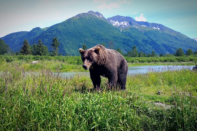 Glacier Hike on Matanuska Glacier - Best Vacation Value - Customer Testimonials and Ratings