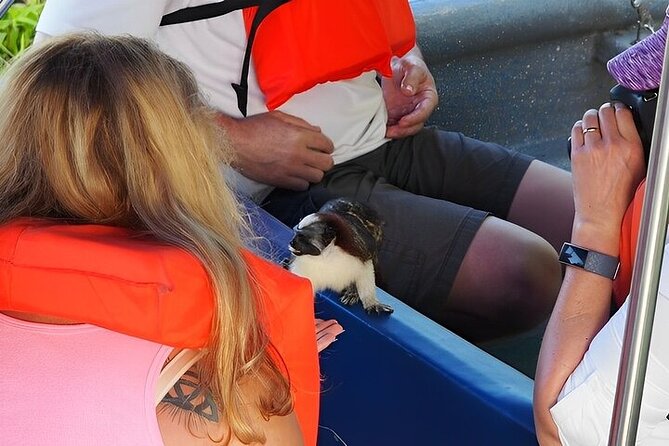Guided Jungle Adventure With Gatun Lake Cruise - The Wonders of Pipeline Road