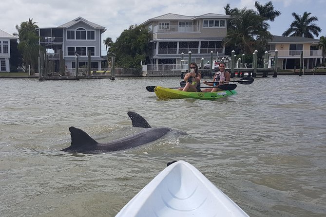Guided Kayak Eco Tour - Bunche Beach - Exploring the Mangrove Forests