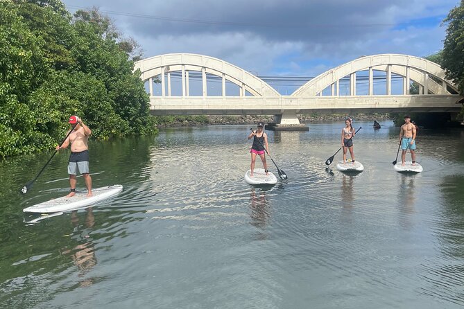 Haleiwa River Paddle Board Rental With Blue Planet Adventure Co. - Spotting Wildlife Along the Way
