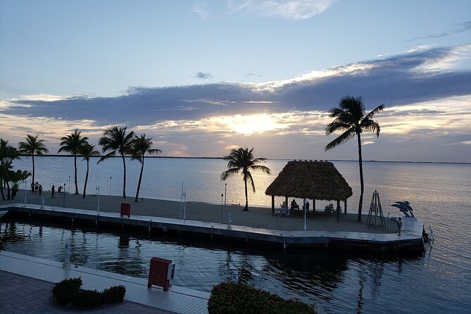 Half Day Snorkel Trip on Reefs in the Florida Keys - Crew Professionalism and Expertise
