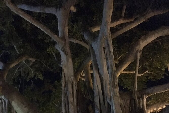 Haunted History of Fort Myers Walking Tour - Additional Information for Interested Travelers