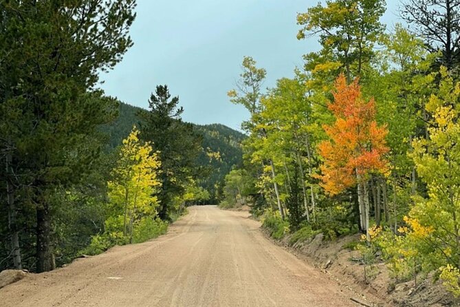 High Country Old West 4X4 Jeep Tour - Knowledgeable Local Guides
