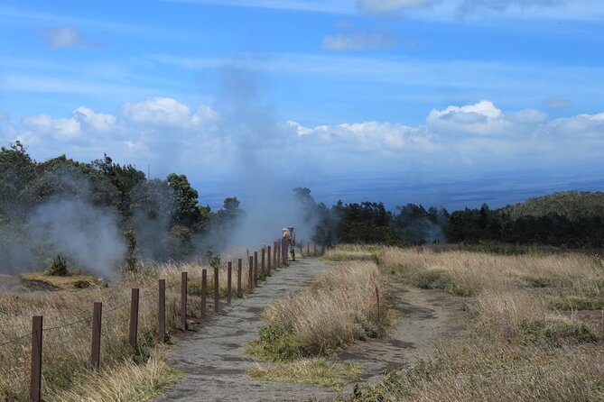 Hilo Shore Excursion: Active Volcano, Lava Tube, Waterfall and Gardens - Discovering the Wonders of Locally Grown Orchids