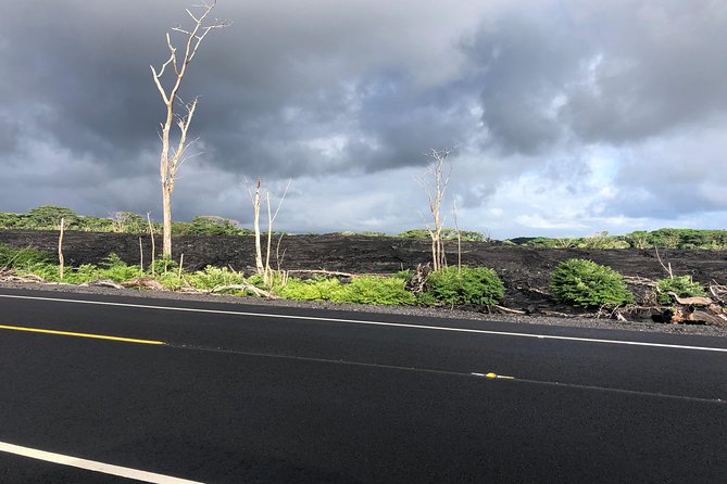 Hilo Shore Excursion: Safari Lava Caves, Falls and Highlights - Transportation and Logistics