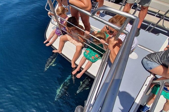 Incredible Dolphin Watching Experience on Our Family Friendly Catamaran - Lagos - Positive Feedback From Satisfied Customers