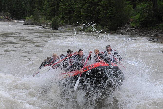Jackson Hole Whitewater Rafting Classic From Jackson Hole,Wyoming - Memorable Experience for First-Timers and Teenagers