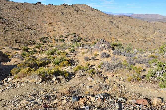 Joshua Tree National Park Self-Guided Driving Audio Tour - Engaging Storytelling
