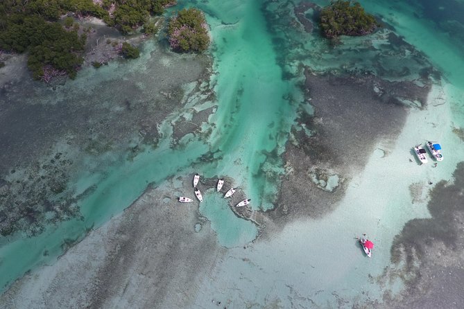 Key West Safari Eco Sandbar Tour Adventure With Snorkeling - Scenic Island Trails Exploration