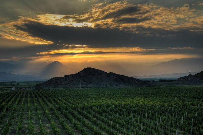 Khor Virap, Noravank, Hin Areni Wine Tour, Tasting and Birds-Cave - Wine Tasting Experience