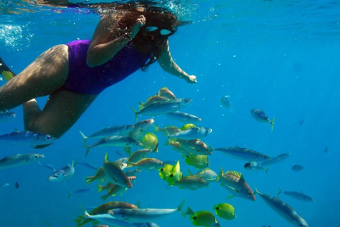 Ko Olina Catamaran Sail and Snorkel - Memorable Encounters With Wildlife