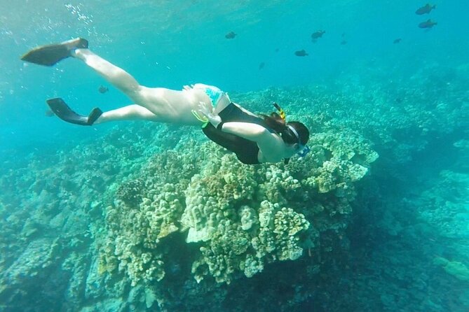 Konas Deluxe Snorkel - Snorkel Captain Cook and Place of Refuge - Service Discretion