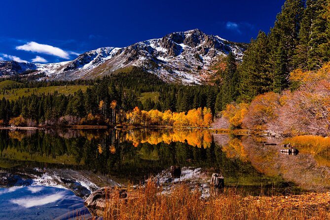 Lake Tahoe Small-Group Photography Scenic Half-Day Tour - Tour Details and Booking