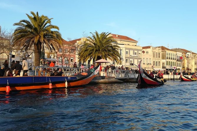 Lisbon to Porto Up to 3 Stops: Obidos, Nazare or Fatima, Aveiro - Positive Customer Feedback
