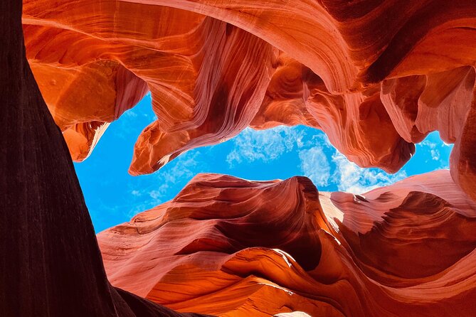 Lower Antelope Canyon & Horseshoe Bend Tours in Arizona - Customer Reviews and Feedback