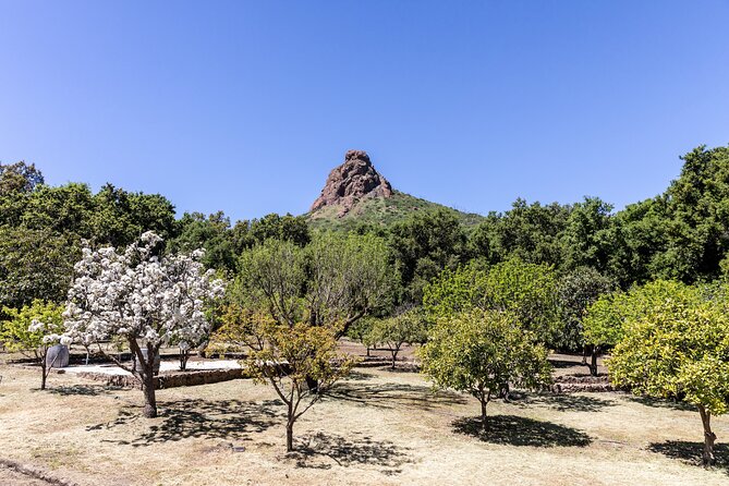 Malibu: Guided Vineyard Hike With Photo Stops and Wine - Guest Experiences and Feedback