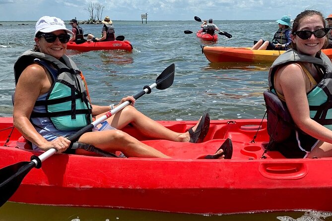 Manatee and Dolphin Kayaking Encounter - Safety and Accessibility