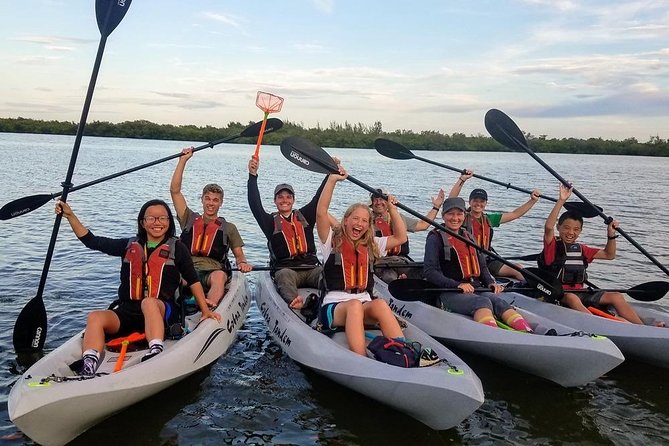 Mangrove Tunnels, Dolphins, Manatee Tour #1 Rated in Cocoa Beach - Planning Your Adventure
