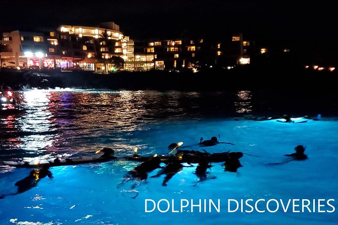 Manta Ray Night Snorkel at Kona, Big Island - Guest Experiences and Feedback