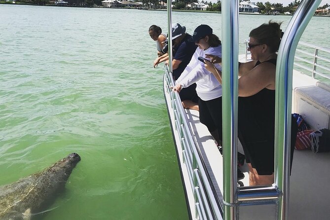 Marco Island Dolphin Sightseeing Tour - Family-Friendly Adventure