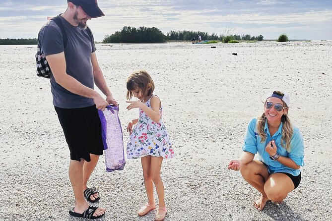 Marco Island Wildlife Sightseeing and Shelling Tour - Positive Guest Feedback