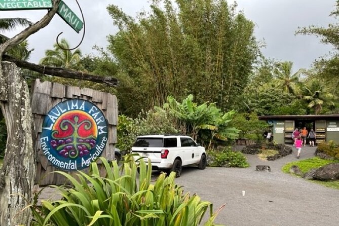 Maui by Storm: Epic Private Luxury Road to Hana Adventure Tour - Opportunities for Swimming and Wildlife Viewing
