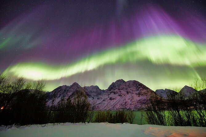 Minivan Northern Lights Excursion (8 Guests per Minivan) - Comfort Considerations