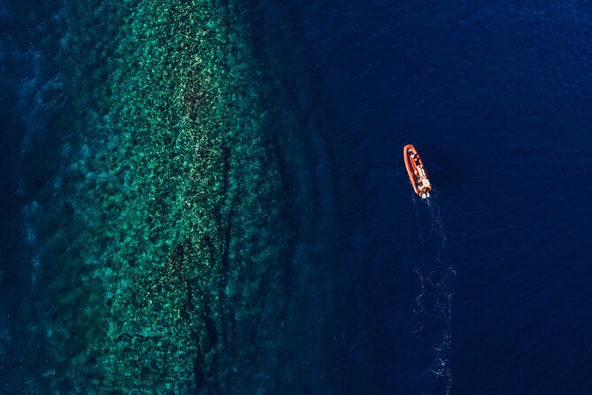 Molokini Crater and South Maui Coast Adventure From Kihei - Turtle Town Exploration