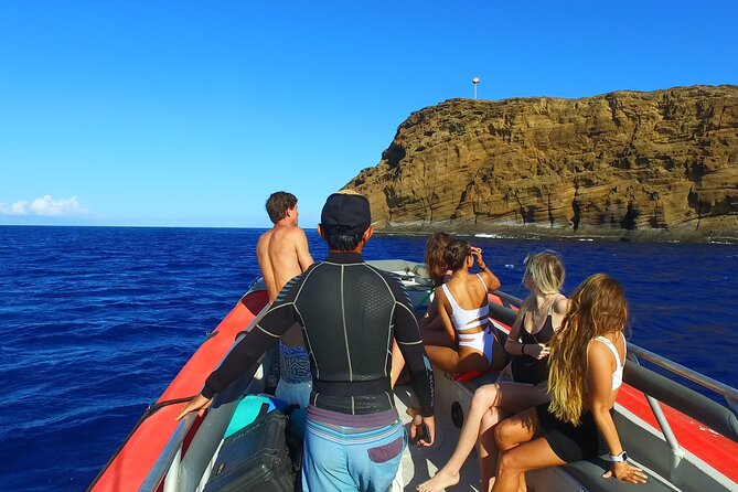 Molokini Crater and Turtle Town Snorkeling From Kihei - Customer Experiences and Feedback