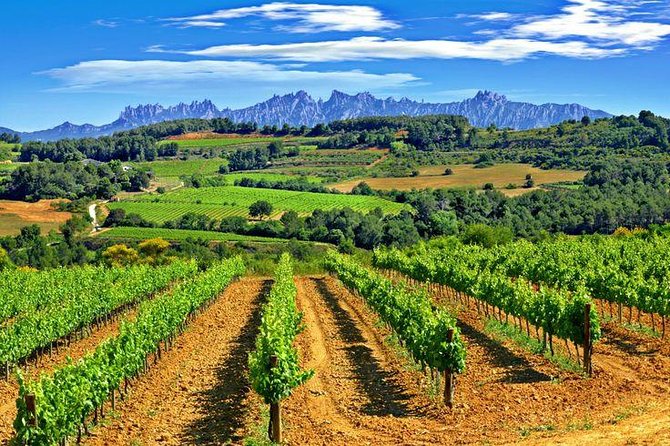 Montserrat,Vineyard, Wine Tasting Small Group Tour & Hotel Pickup - Minivan Transportation and Guide