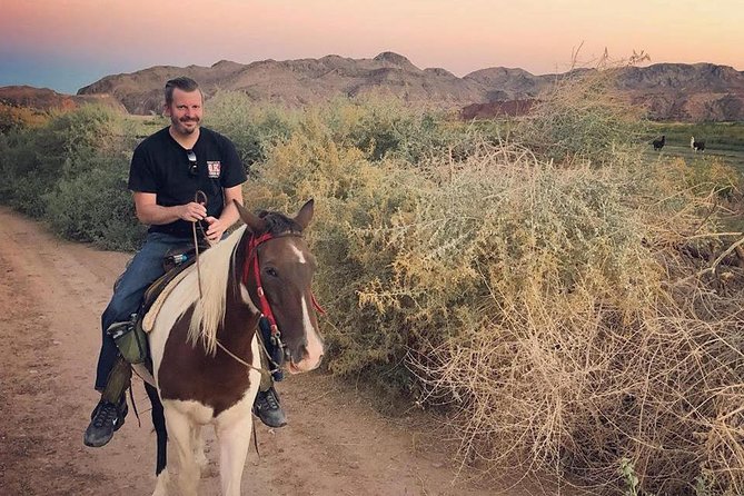 Morning Horseback Ride With Breakfast From Las Vegas - Interacting With Farm Animals