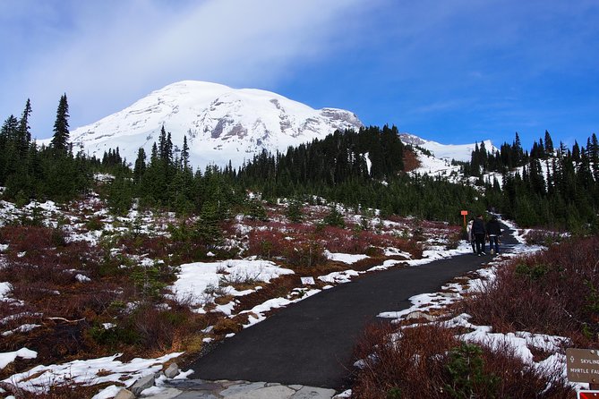 Mt. Rainier Day Tour From Seattle - Getting to Mount Rainier