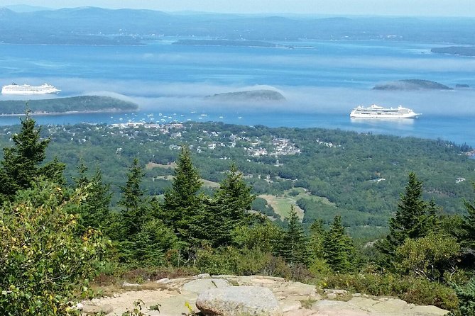 Narrated Bus Tour of Bar Harbor and Acadia National Park - Customer Feedback and Ratings